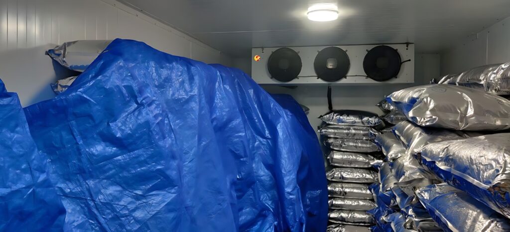 cold room manufactured by Gayatri Refrigeration